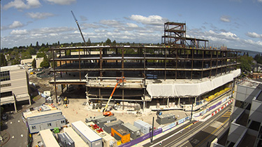 Mary Bridge 1 web Instantly Interpret Free: Legalese Decoder - AI Lawyer Translate Legal docs to plain English